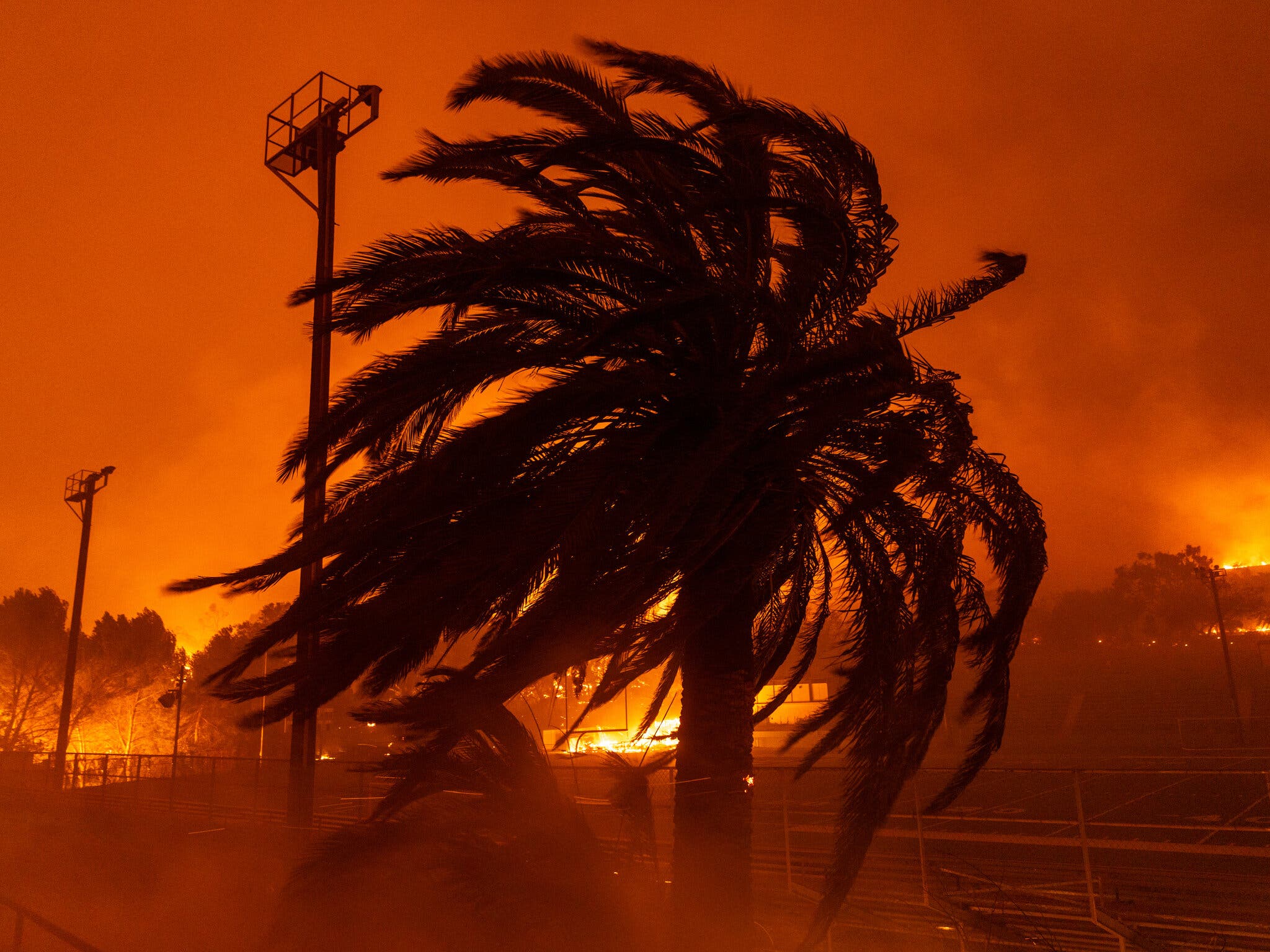 Is Betting On The Los Angeles Wildfires A Sign Of The Times? An Analysis Is Betting On The Los Angeles Wildfires A Sign Of The Times? An Analysis